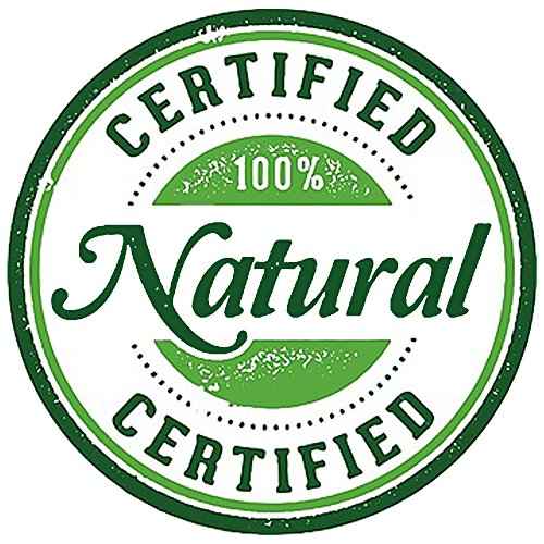 Bath Bomb Gift Set USA - 6 Vegan Essential Oil Natural Fun Fizzies Spa Kit. Organic Shea/Cocoa Soothe Dry Skin. Luxury Gift for Valentine, Women, Mom, Teen Girl, Birthdays. Add to Tub Tea or Baskets