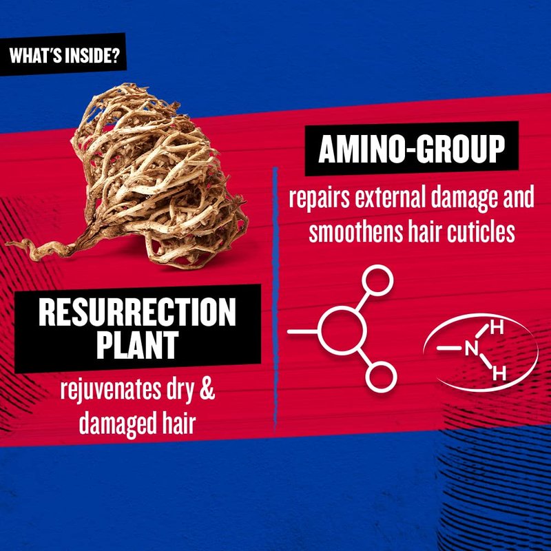 TIGI Bed Head Resurrection Repair Shampoo - Restores Damaged Hair | 13.53 fl oz (Pack of 2)