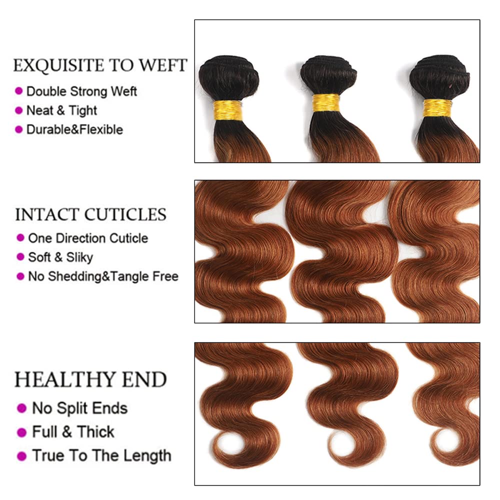 Ombre Body Wave Human Hair Bundles - Two Tone Black & Highlight Brown | 3 Bundles 8-10-12 Inch