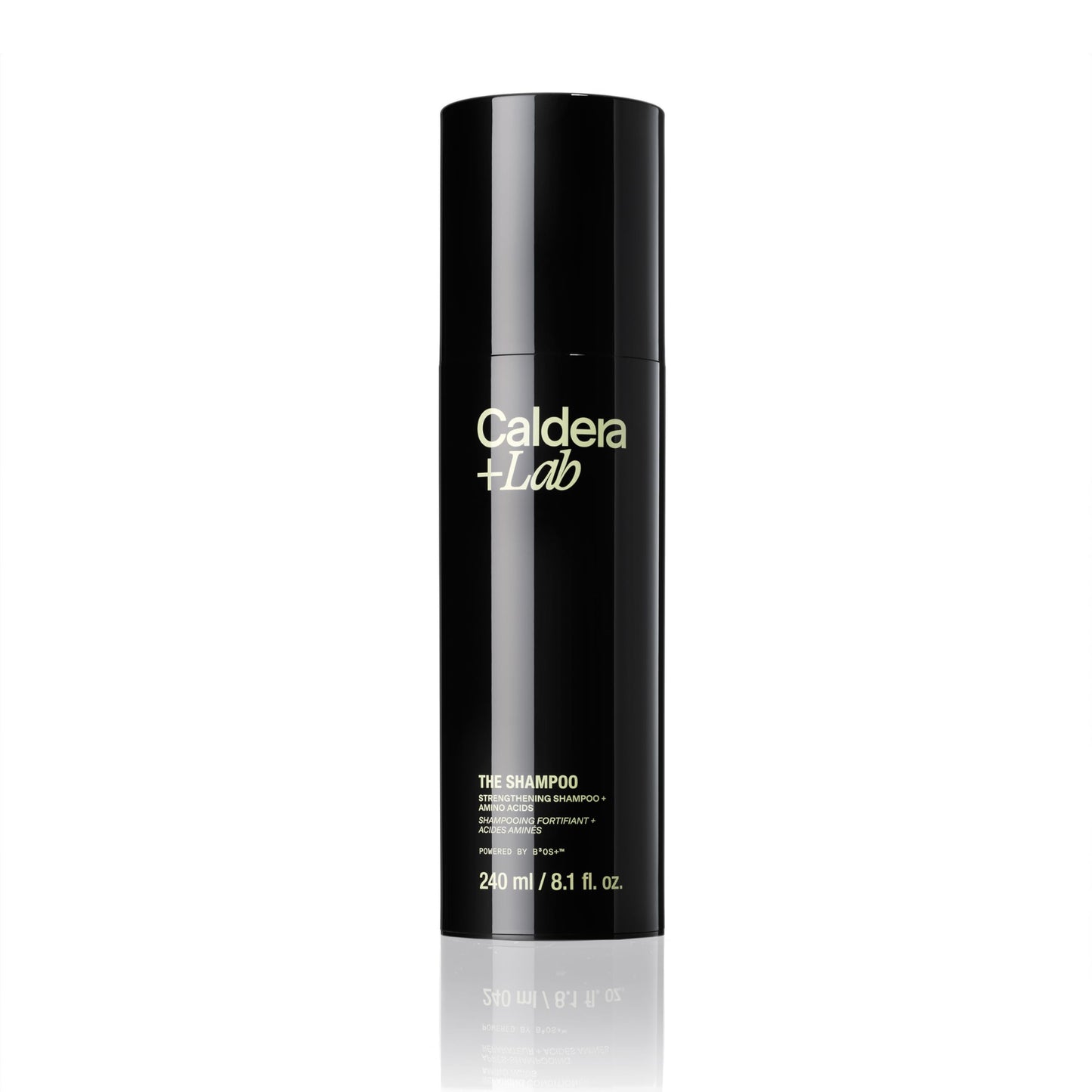 Caldera + Lab The Shampoo | Men’s Shampoo for Healthy Hair, Sulfate-Free Daily Cleanser, Dermatologically Tested - All Hair Types