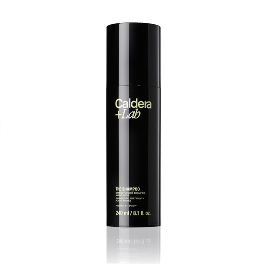 Caldera + Lab The Shampoo | Men’s Shampoo for Healthy Hair, Sulfate-Free Daily Cleanser, Dermatologically Tested - All Hair Types