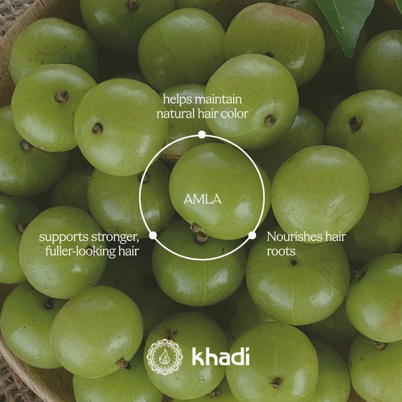 KHADI AMLA VOLUME Ayurvedic Shampoo - Powerful hair & volume through strong hair roots - 100% natural, vegan, silicone & sulfate-free - 6.7 fl oz