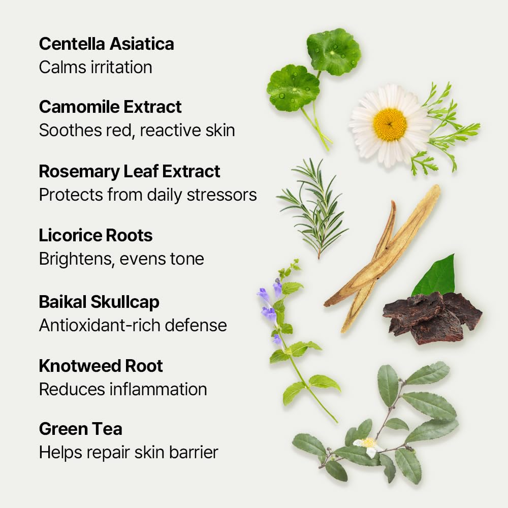 NATURAL DERMA PROJECT Green Caper Deep Hydration Cream (80ml / 2.70 Fl oz) Calming, Soothing, Panthenol, Hydrating for Sensitive and Dry Skin, Face Moisturizer, NDP
