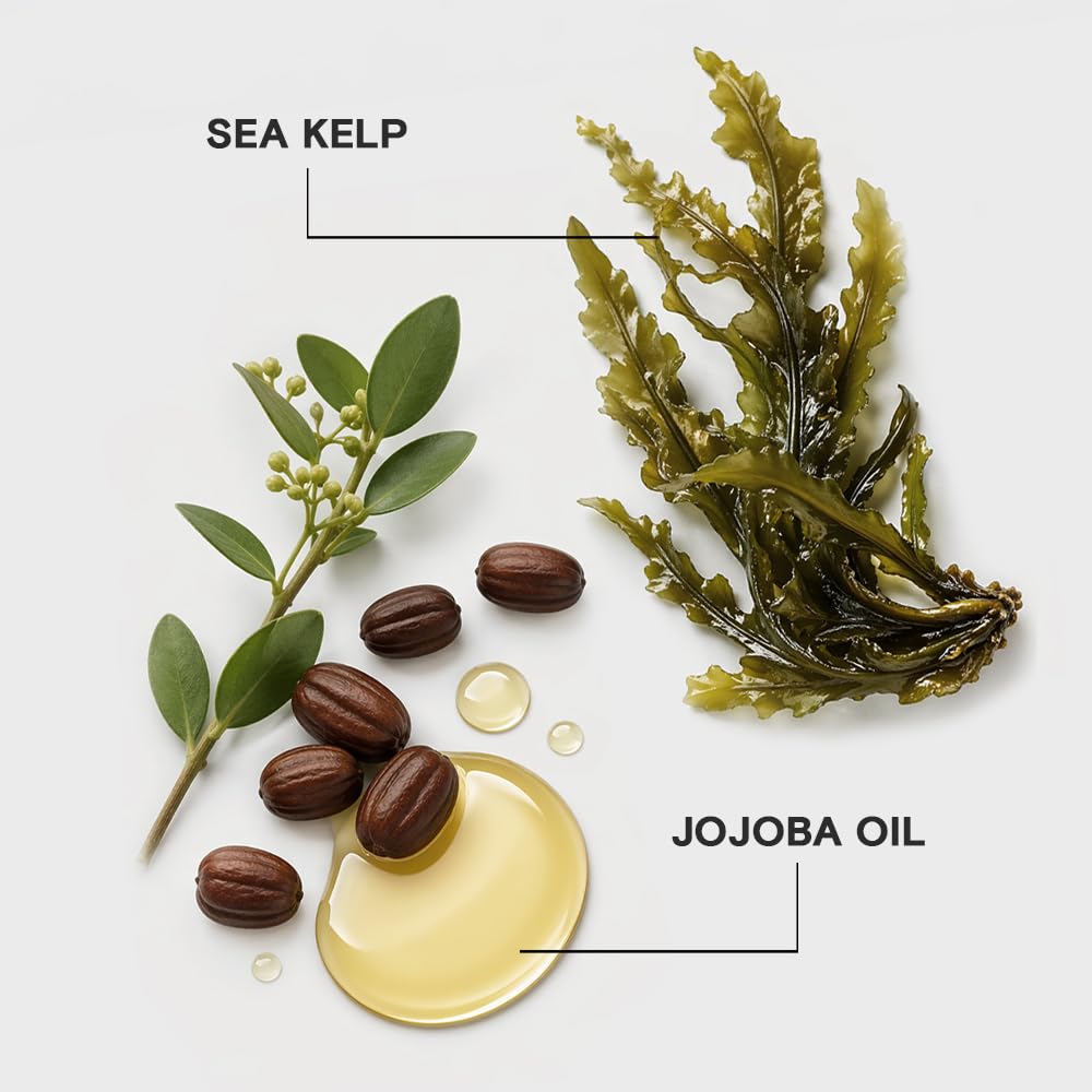 Joico Moisture Recovery Treatment Balm | For Thick, Coarse, Dry Hair | Restore Moisture, Smoothness, Strength, & Elasticity | Reduce Breakage & Frizz | With Jojoba Oil & Shea Butter | 16.9 Fl Oz