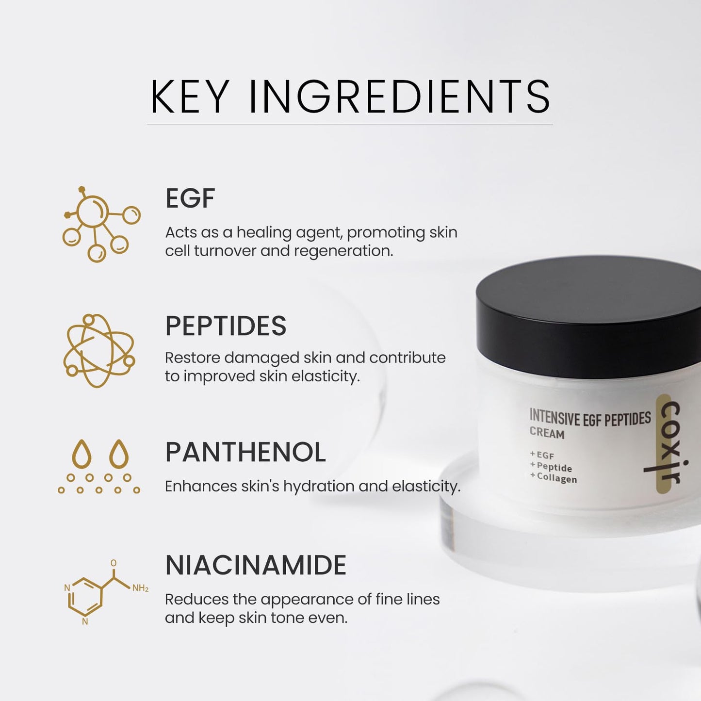 coxir INTENSIVE EGF PEPTIDES CREAM l Day&Night Firming Cream l EGF(Epidermal Growth Factor), Peptides, Niacinamide, Panthenol, Collagen l Korean Skincare [50ml/1.69fl.oz] (Pack of 2)