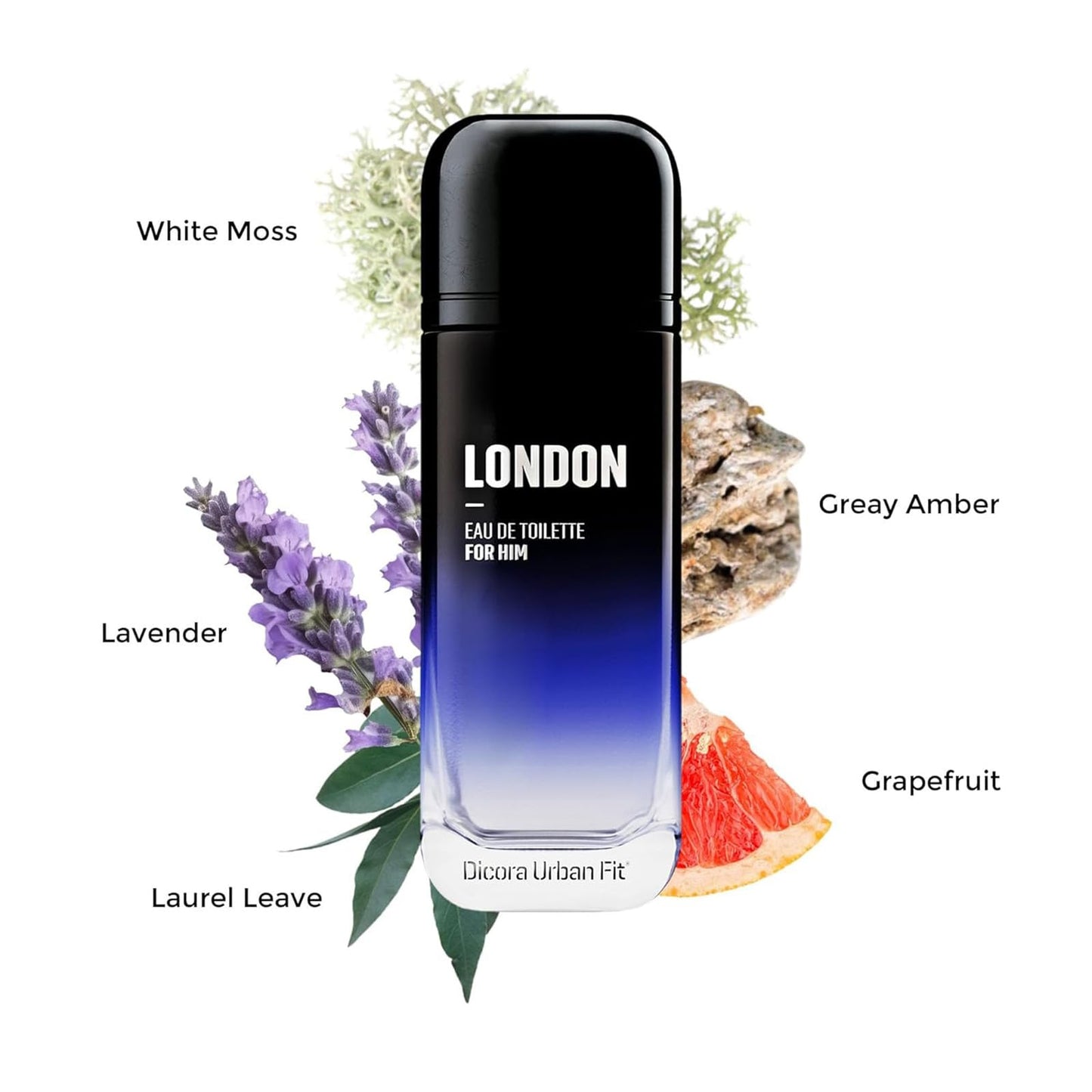 Dicora Urban Fit London Cologne for Men - Notes of Grapefruit, Sea Notes, Lavender, Laurel Leaves, White Moss, and Grey Amber - 5.07 oz EDT Spray