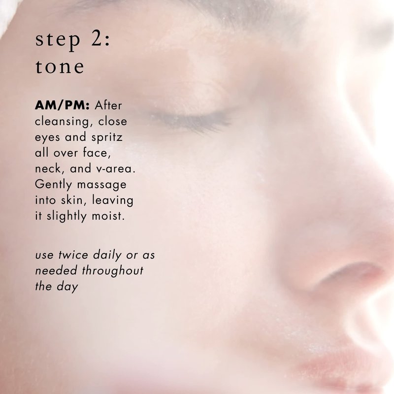 Bioelements 3-Step Mini Starter Set: Oily Skin - Includes Decongestant Cleanser, Equalizer Toner & Beyond Hydration Moisturizer - Vegan, Gluten Free - Never Tested on Animals