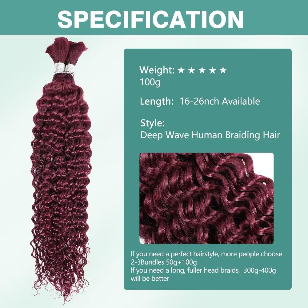 Human Braiding Hair 100g 16 Inch Deep Wave Bulk Human Hair for Braiding 2 Bundles/Pack No Weft Brazilian Virgin Deep Curly Human Hair Extensions Color 99J Burgundy Braiding Hair for Micro Braids