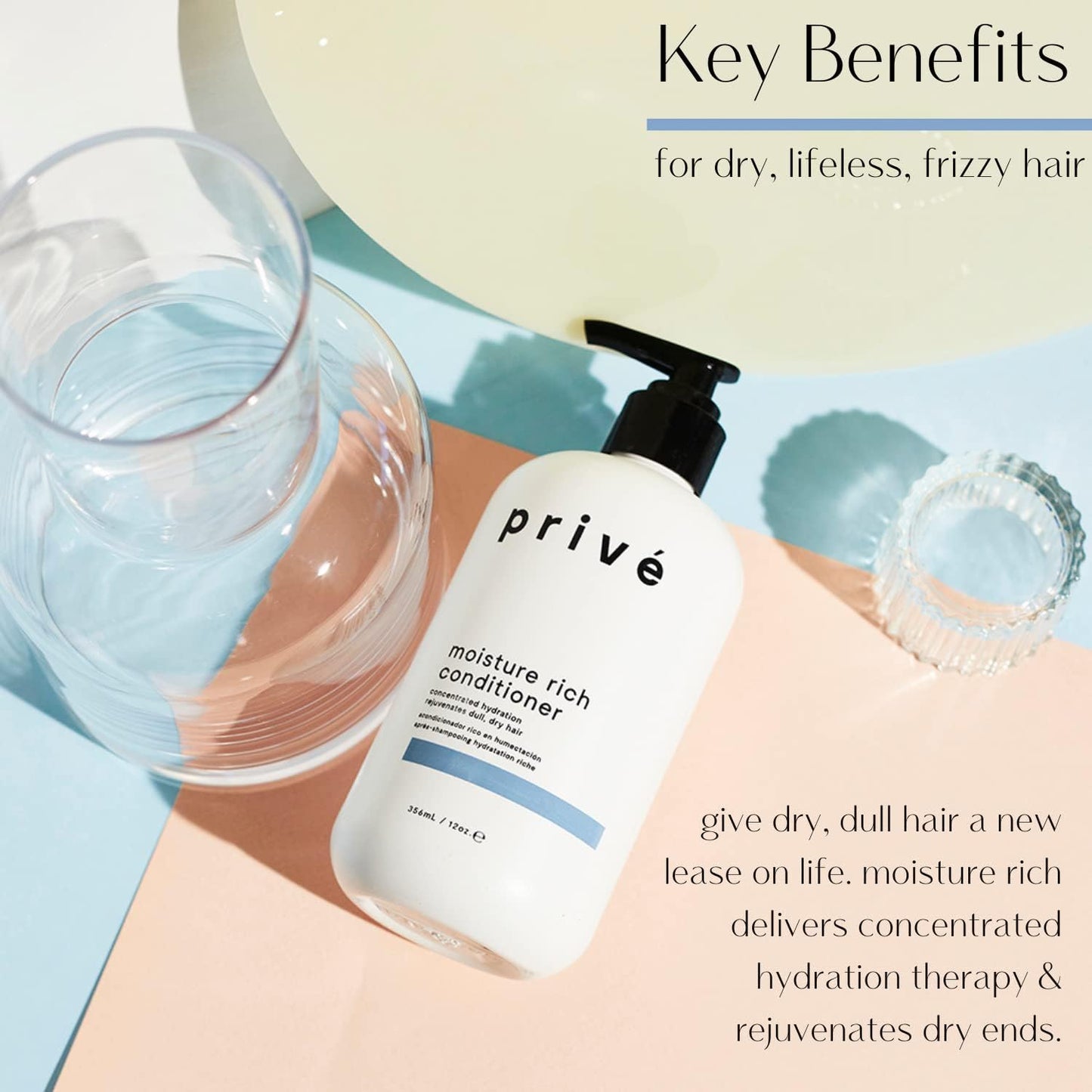 Privé Moisture Rich Conditioner - Deep Moisturizer for Dry Hair - With Organic Shea Butter and Antioxidants - 10 Oz