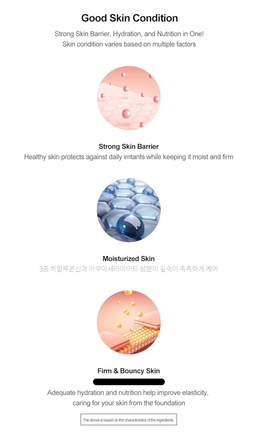 Moisture Cream - Lightweight K-Beauty Face Cream for Hydration | 50ml Daily Moisturizer for Makeup Prep