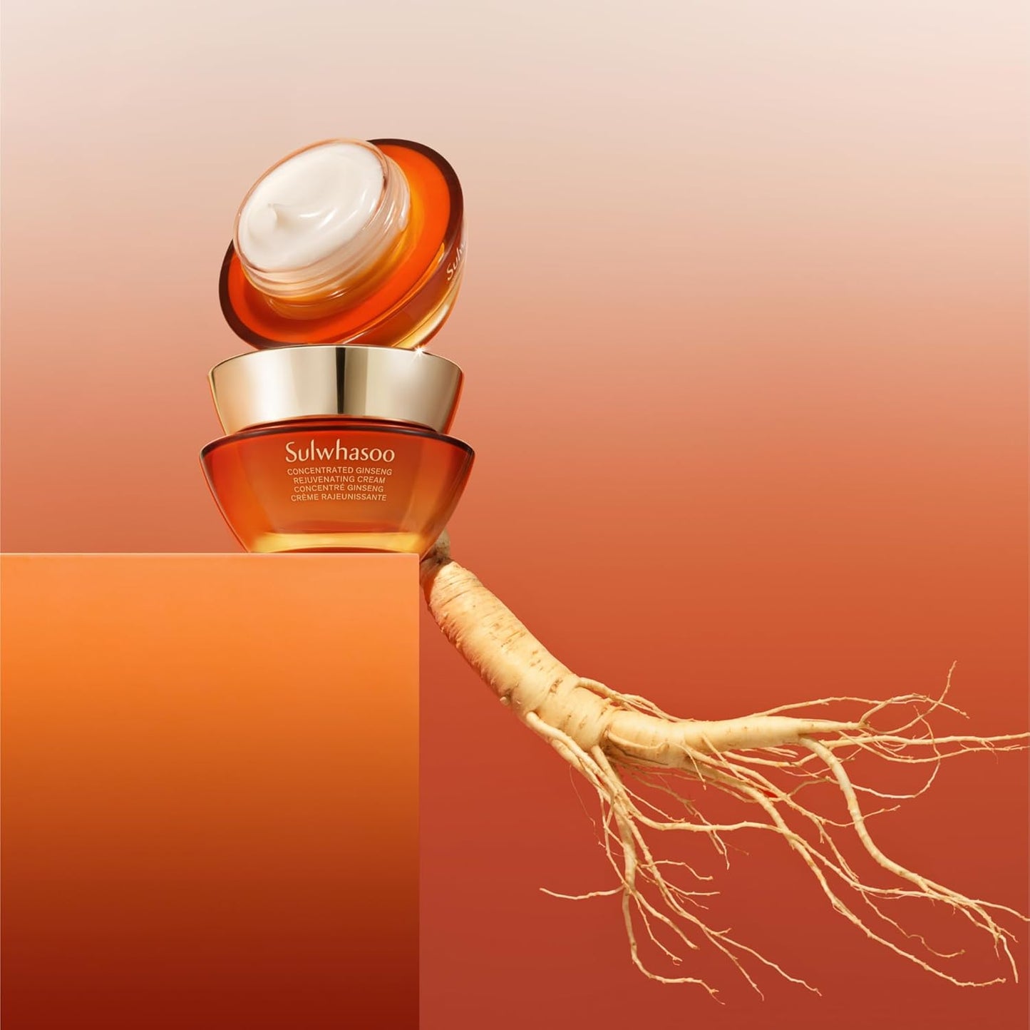 Sulwhasoo Concentrated Ginseng Rejuvenating Cream - Anti-Aging Moisturizer with Peptides & Vitamin C | Deep Hydration for Wrinkles