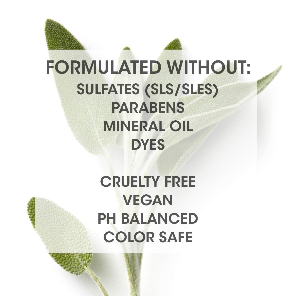 SEVEN Borato Boost Total Volume Prep Spray, Root Lift Volumizing Hair Spray for Fine Hair, Lightweight Styling Primer, Dry Shampoo Alternative, ProVitamin B5 Chamomile Formula, 8oz
