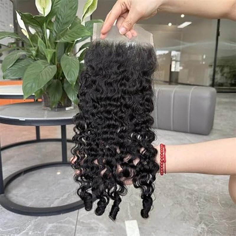 Lemoda 5x5 Closure Burmese Curly HD Transparent Lace Closure 12A Burmese Virgin Human Hair Closure Pre Plucked with Baby Hair Natural Black 20 Inch