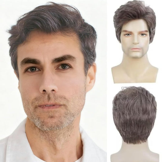 Salaibs Mens Grey Short Wig Natural Synthetic Heat Resistant Wig for Daily Party Use (Brown Mix Grey)