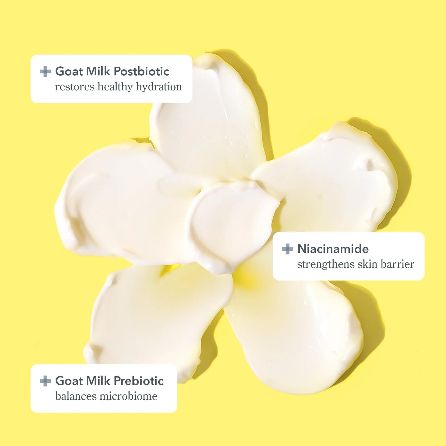 Beekman 1802 Milk Scrub Oat + Goat Milk Exfoliating Face Cleanser (6 fl oz) + Bloom Cream Daily Face Moisturizer (1.69 oz) - Good for Sensitive Skin - Cruelty Free