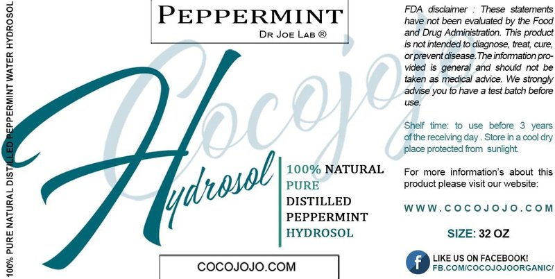 Peppermint Hydrosol Spray Toner | Hydrating Floral Mint Water for All Skin Types - 32 oz