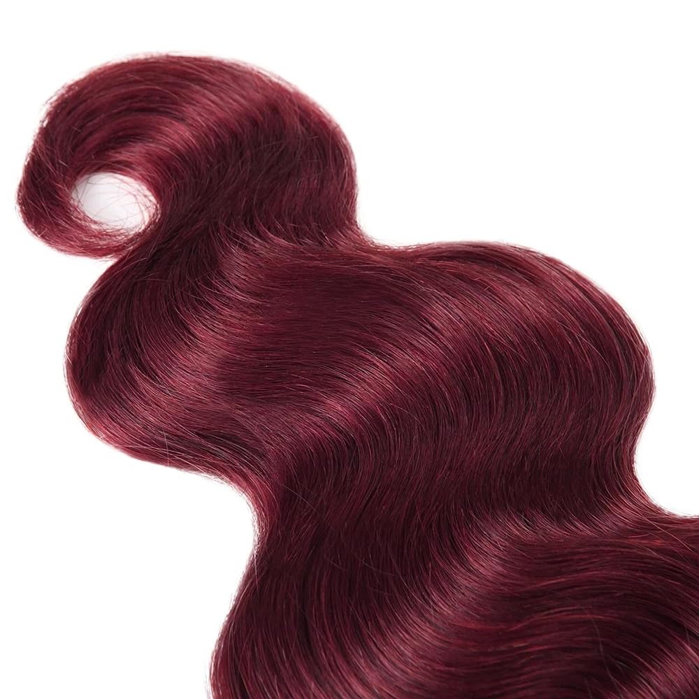 ZGGTL Burgundy Bundles Human Hair 12A 100% Brazilian Raw Human Hair Bundles Quick Weave Double Weft Natural Black for Women Hair Extensions(18Inch)