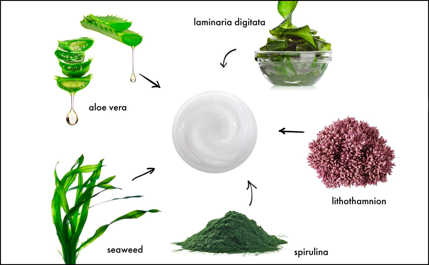 Raya Ultra-Light Seaweed Cream (304) | Anti-Aging Moisturizer for Oily, Break-Out Skin | Hydrating Face Cream Reduces Fine Lines, Wrinkles | Best Facial Moisturizer for Dry, Aging Skin | Controls Oil