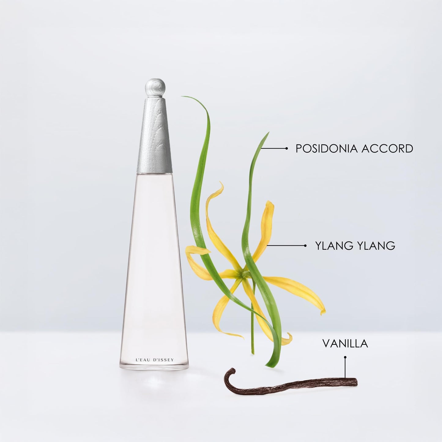 Issey Miyake L'Eau d'Issey Eau de Parfum Intense - Women's Fragrance - Intense Floral Aquatic - Notes of Posidonia Accord, Ylang-Ylang, and Vanilla