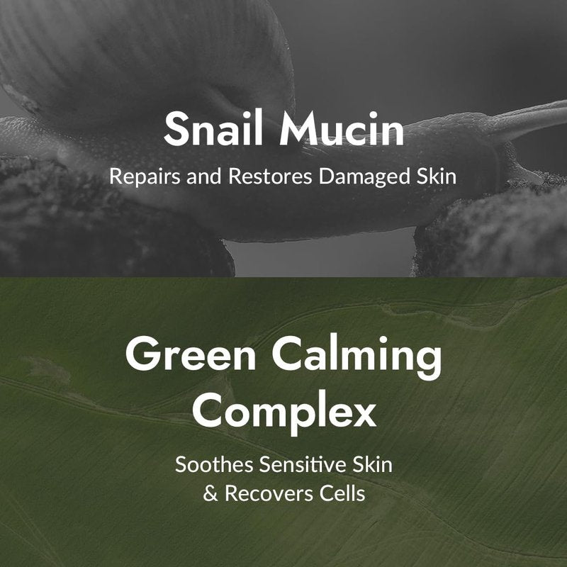 MIZON All-in-One Snail Repair Cream – Korean Face Moisturizer with Snail Mucin 12 Natural Extracts Hydrating & Nourishing Cream for Fine Lines Wrinkles & Blemish Care – Big Size(4.06 fl oz)