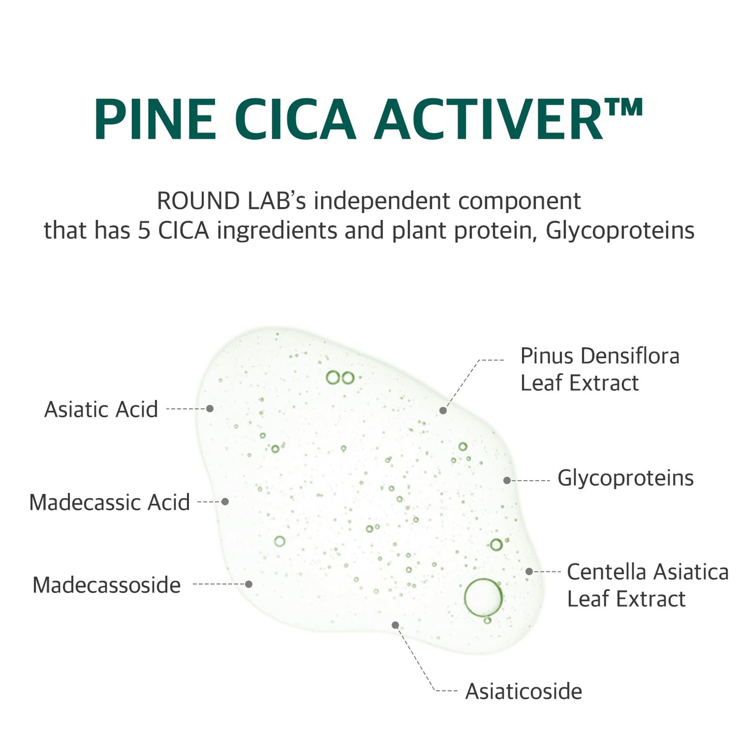 Pine Calming Cica Pads - 50pcs Soothing Toner Pads with BHA, LHA & Hyaluronic Acid | 7cm for Acne-Prone Skin