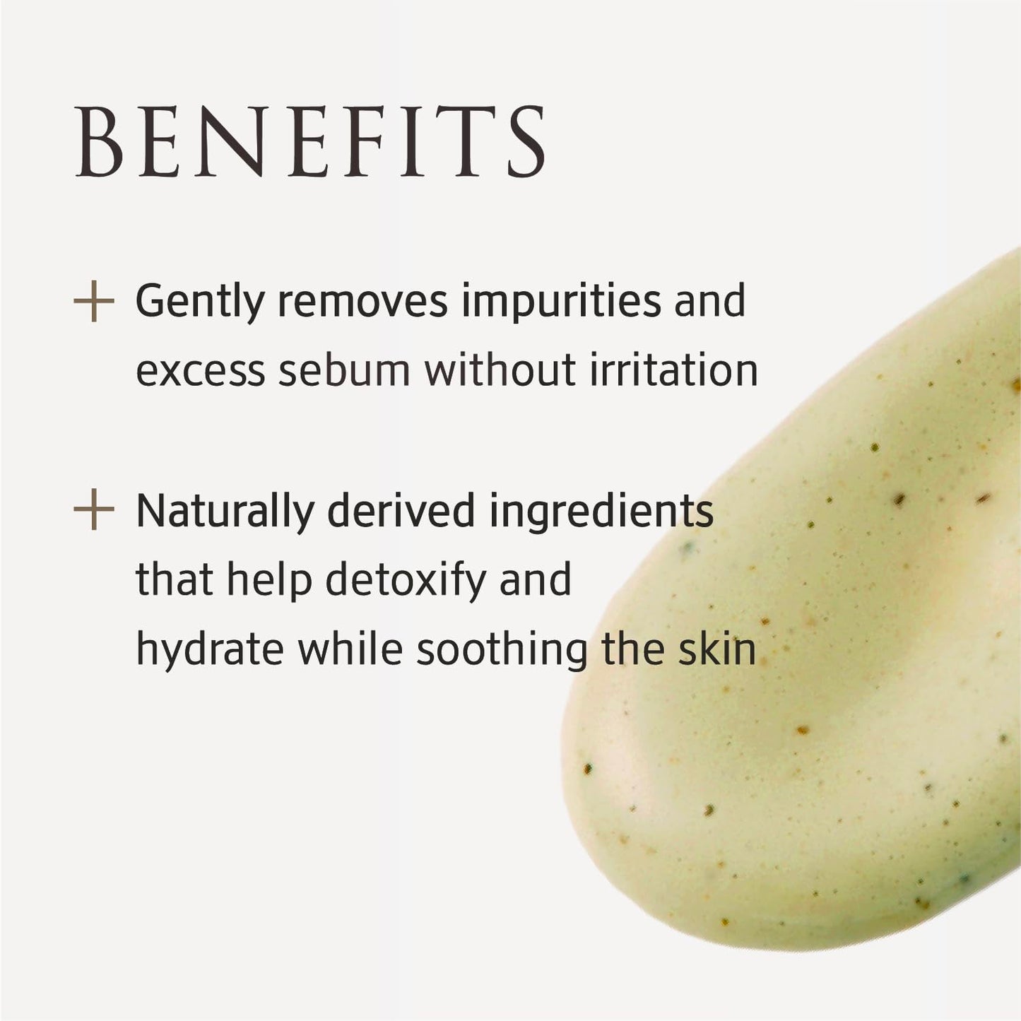 YUNJAC Whole Plant Effect Foam Cleanser (4.23 oz) - Gentle Creamy Matcha Foam Cleanser. Gently Removes and Cleanses. Hydrate and Soothe Skin.
