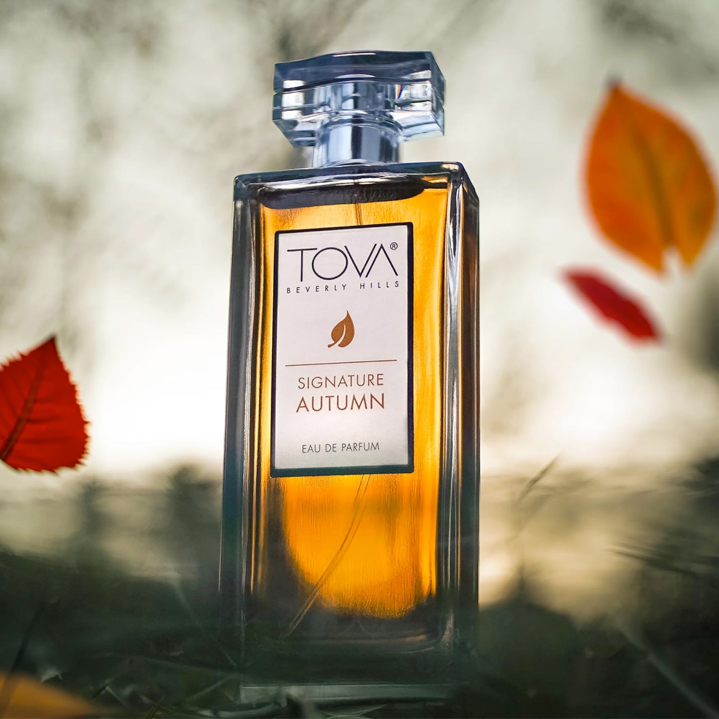 Tova Signature Eau De Parfum