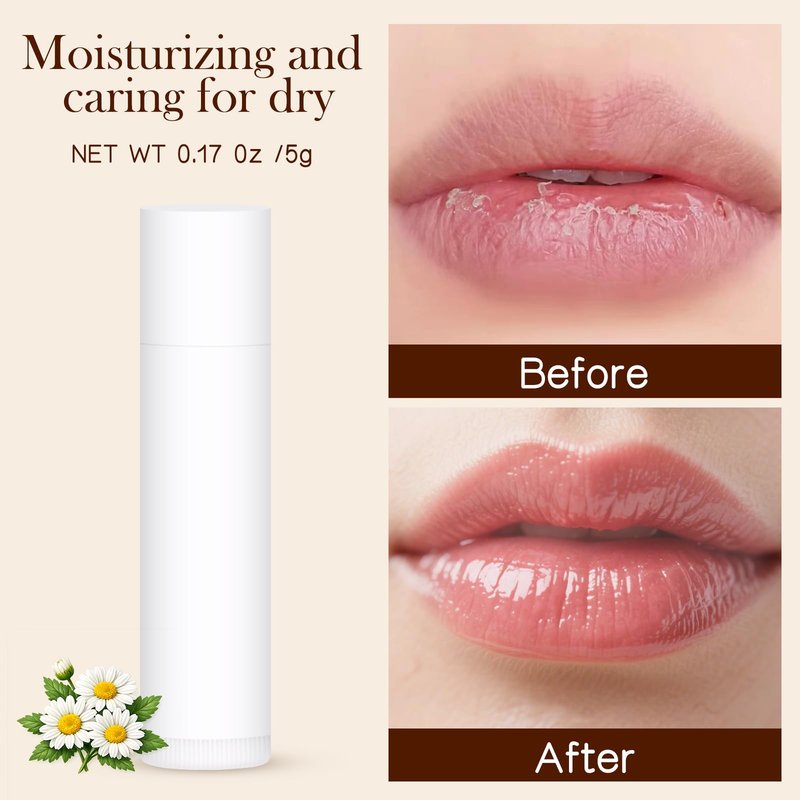 50-Pack Unlabeled Lip Balm Bulk – Natural Shea Butter & Vitamin E, 5 Flavors – Blank Tube Custom Labels for Party & Wedding Favors, Baby Shower & Gift Basket Filling