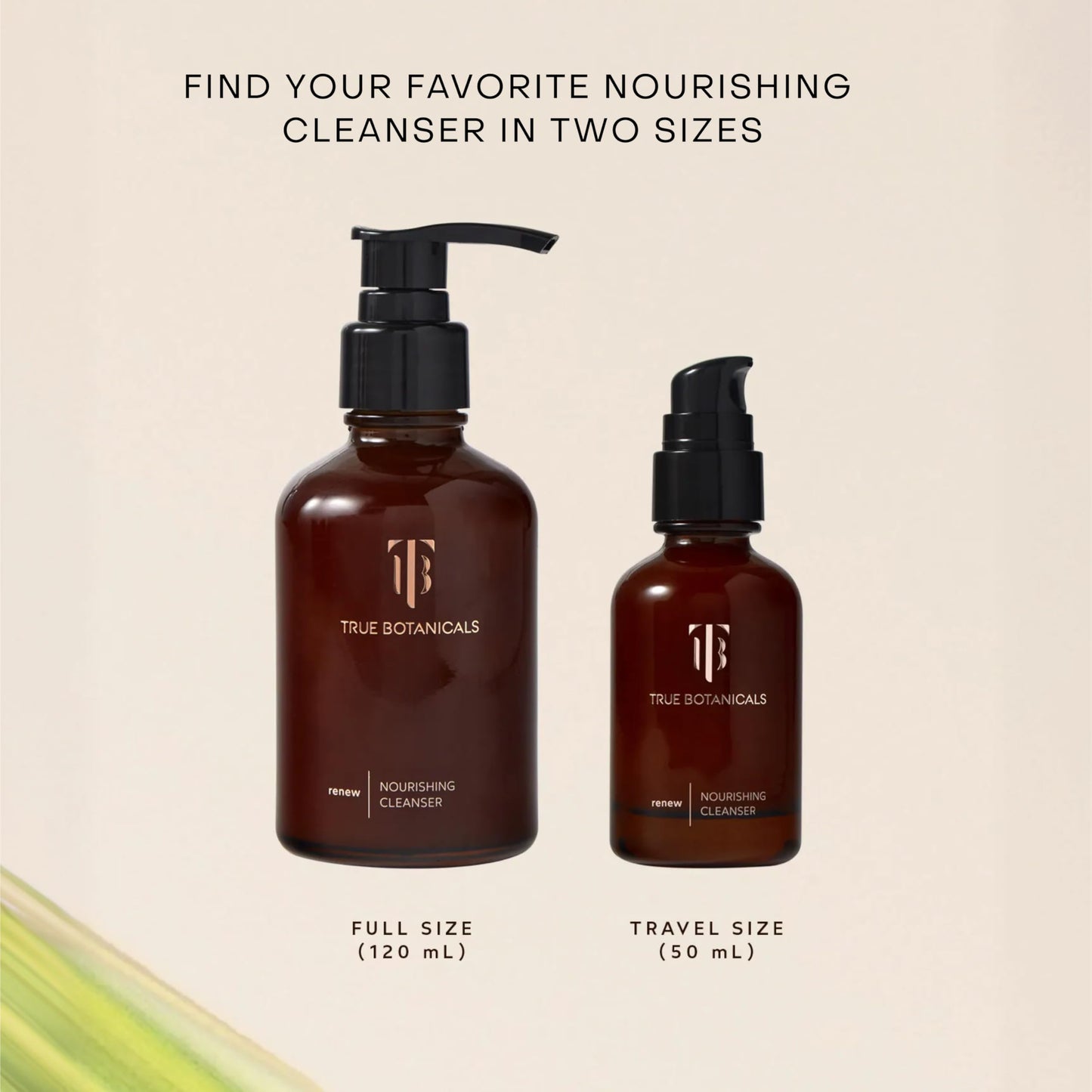 True Botanicals Renew Nourishing Cleanser | Gently Moisturizes + Refreshes Dry Skin | All Skin Types | Dermatologist Tested, Hypoallergenic, All Natural, Vegan | 4 fl oz | 118 ml