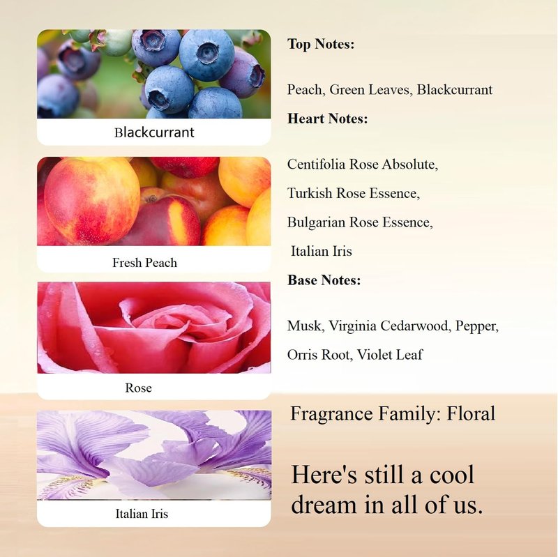 CHESSFLY Cool Dream Luxury Perfume for Women | Long Lasting Eau de Parfum | 3.4 Fl Oz Floral Rose of winds Fragrance