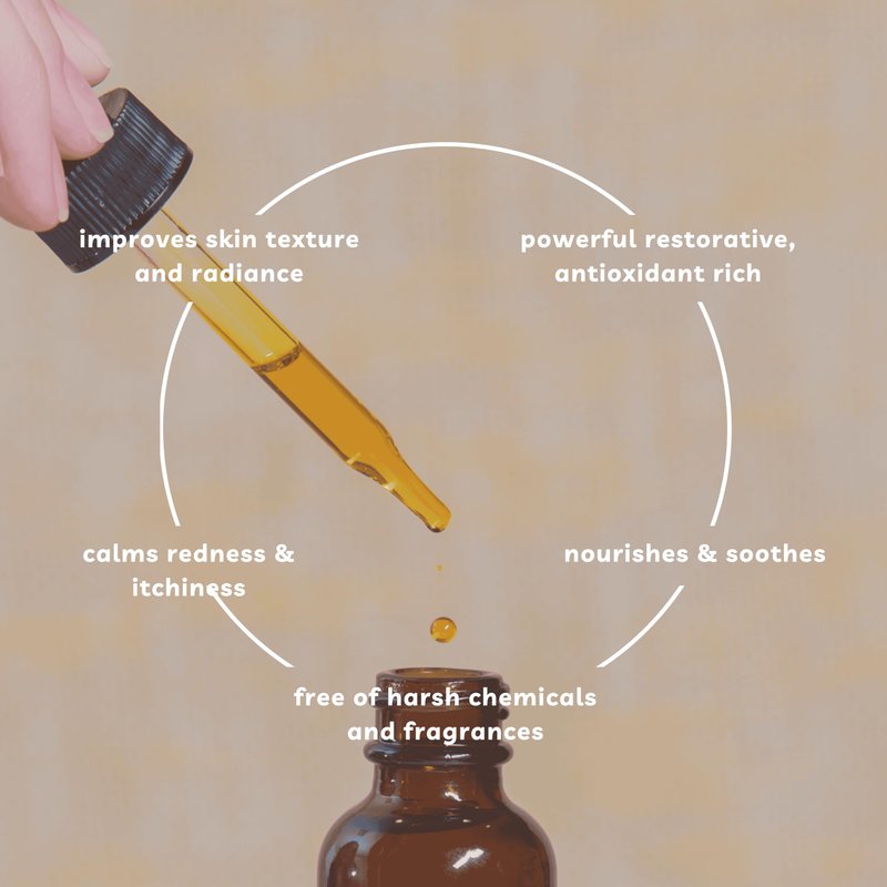 Offernova Organic Rosa de Mosqueta Oil - USDA Certified Rosehip Seed Oil Pure Cold Pressed, Repairs & Brightens Skin - Gua Sha Massage, Face, for All Skin Types - Aceite Facial 1OZ