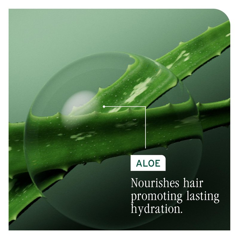 Biolage Hydra Source Shampoo & Conditioning Balm Set - Deeply Hydrates & Moisturizes Dry Hair, Infused with Fermented Aloe & Micro-Filtered Hyaluronic Acid, Vegan & Paraben-Free, 13.5 Fl Oz
