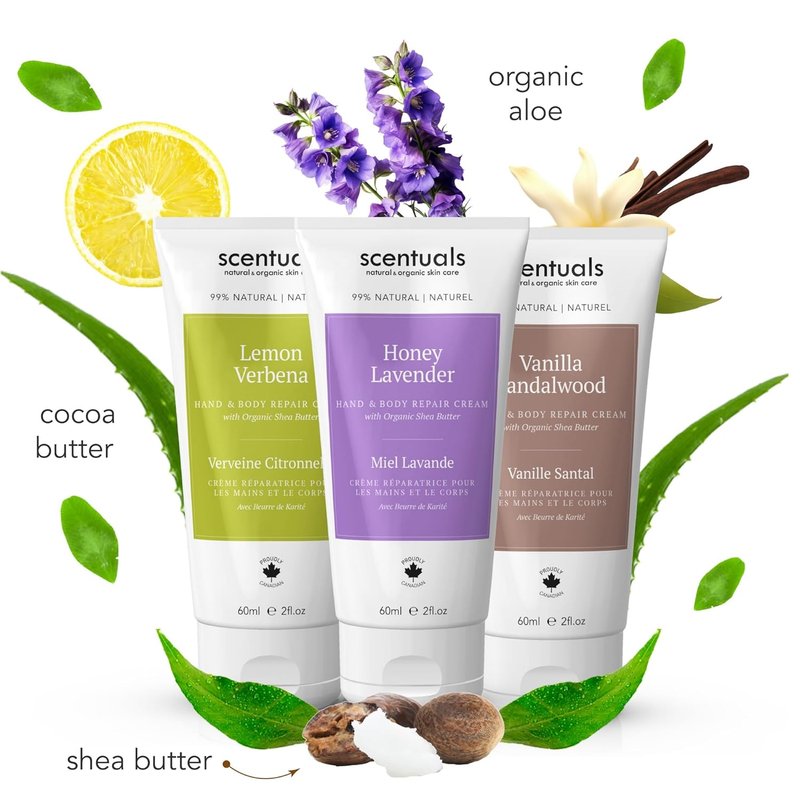 Hand Cream Set - Moisturizing Shea Butter & Cocoa Butter | 3 Scents: Lemon Verbena, Honey Lavender, Vanilla Sandalwood - 60 ml