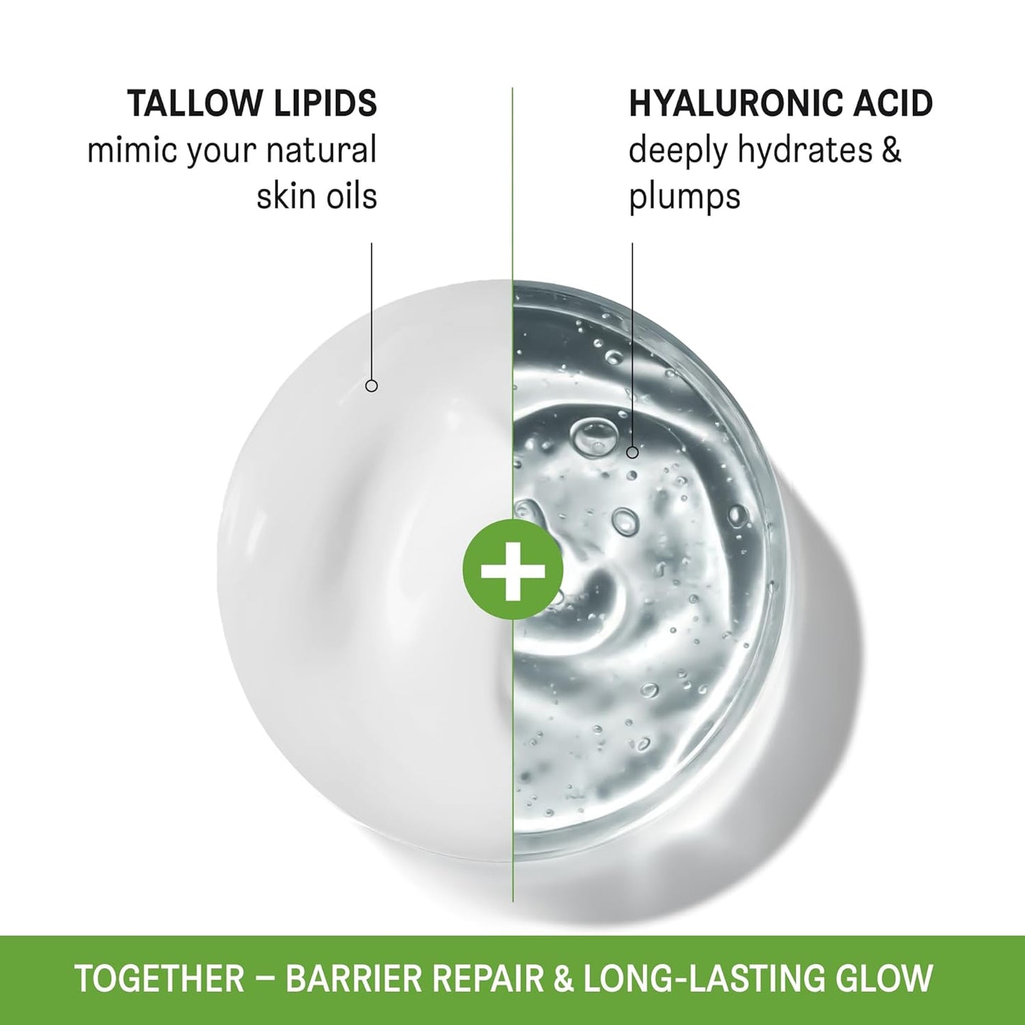 Beef Tallow Face Cream - All-Natural Moisturizer with Honey & Hyaluronic Acid | 2.25 oz for Dry, Sensitive Skin
