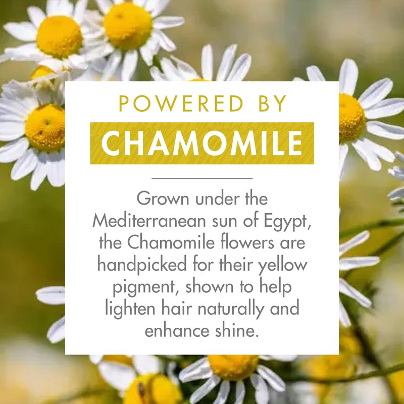 Klorane Brightening Shampoo with Chamomile - Enhances Highlights and Brightens Blonde Hair - Softens and Enhances Shine - Ultra-Gentle Formula - Dermatologist-Tested, Vegan - 13.5 fl. oz.