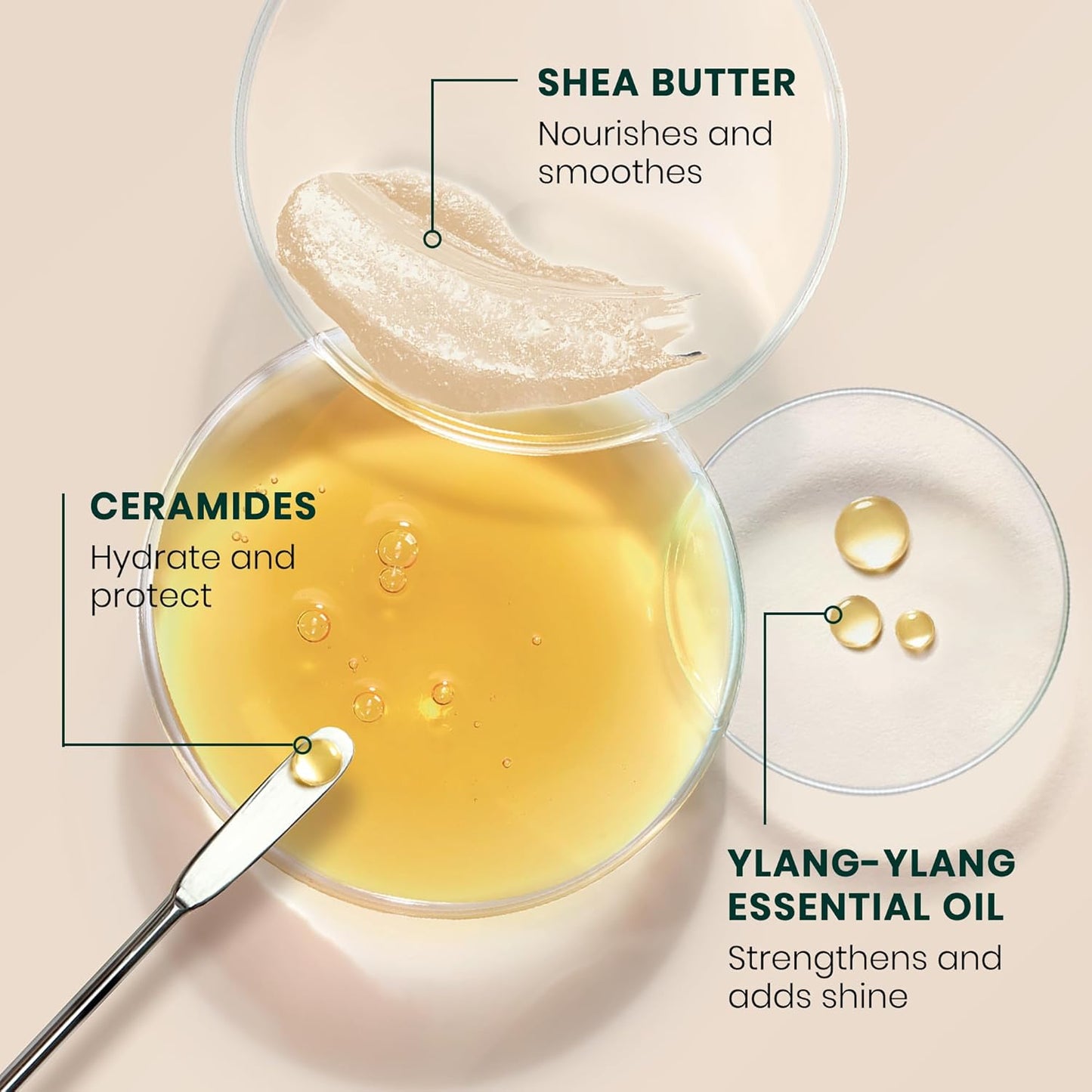Rene Furterer Sublime Karité Moisturizing Mask | Shea Butter & Ylang-Ylang Oil for Smooth Hair