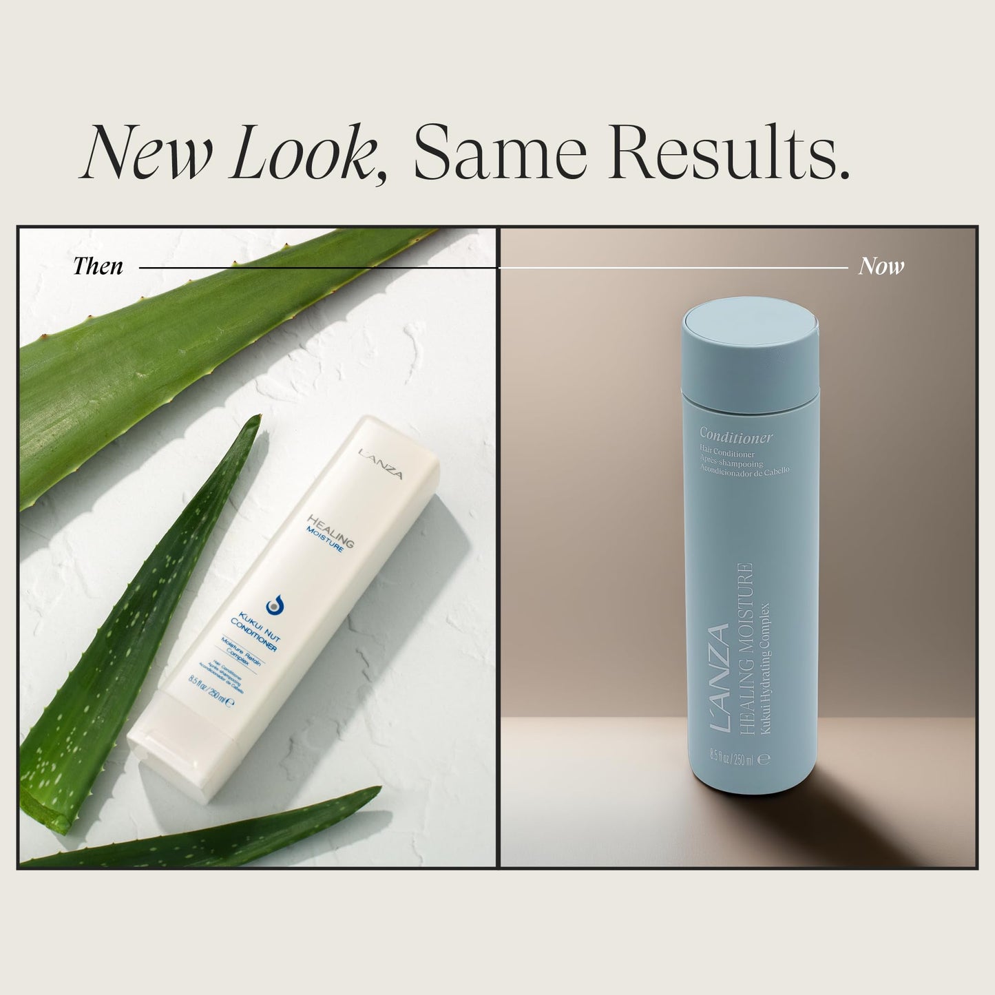 L'ANZA Healing Moisture Kukui Nut Conditioner, Renews Strength, Replenishes Moisture, for a Perfect Silky Look,Suitable for All Hair Types (8.5 Fl Oz)