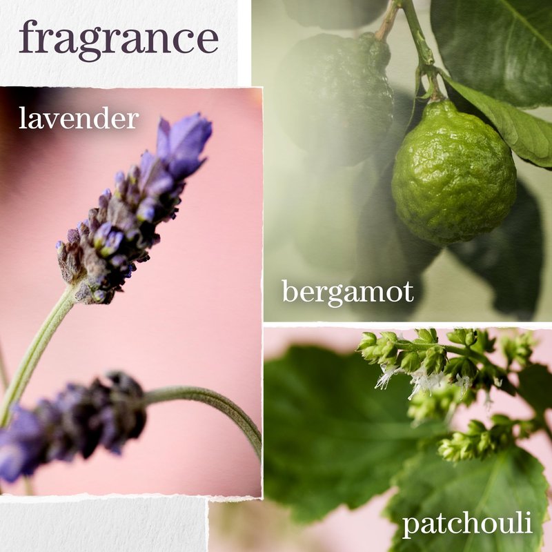 Pureology Hydrate Shampoo - For Dry or Color Treated Hair, Moisturizing Shampoo For Hydration & Softness, With Rose Extract & Green Tea, Vegan & Sulfate-Free, 33.8 Fl Oz