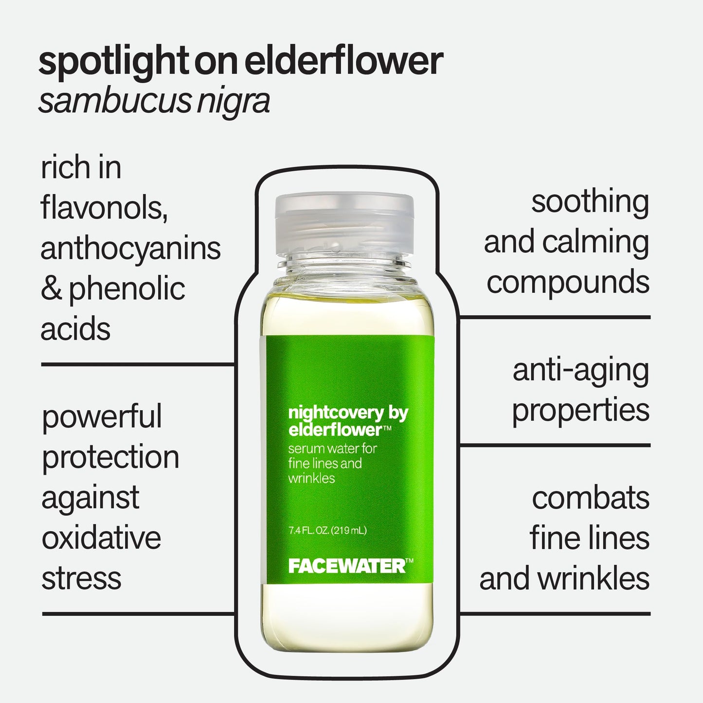 PLANT BEAUTY DISTILLERY Facewater Nightcovery by Elderflower Serum Water for Fine Lines and Wrinkles