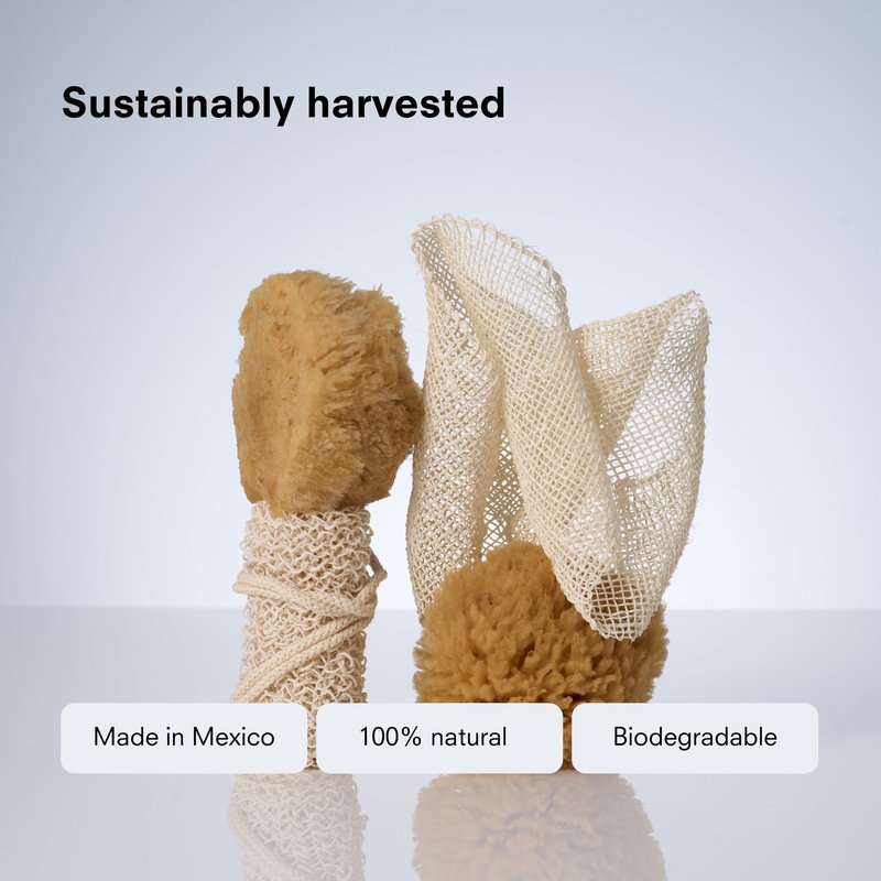 Public Goods Exfoliating Body Scrubber | Ayate Bath Strip for Shower | Back Scrubber Made with Natural Agave Fibers for Exfoliation | Plant-Based Loofah Alternative | 25 in. x 4 in. | 1 Count