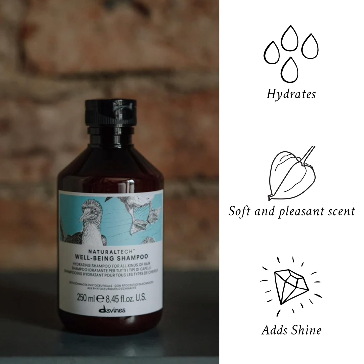 Naturaltech Wellbeing Shampoo, daily gentle cleanser for all hair types
