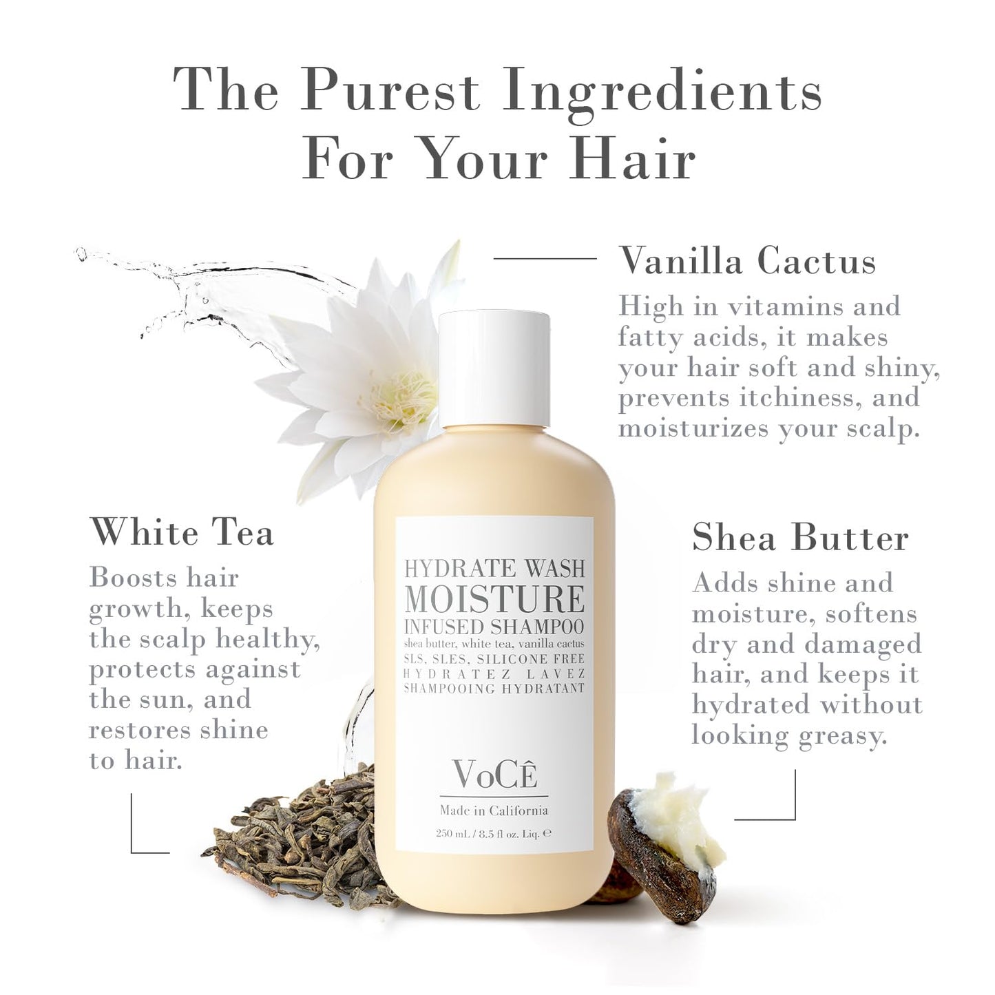 VoCÊ Natural Hydrating Shampoo for Dry, Frizzy Hair | Moisture-Infused Vegan Shampoo for Normal to Thick Hair | Non-Toxic, Cruelty-Free with Shea Butter, White Tea, Vanilla Cactus (8.5 oz | 250 ml)