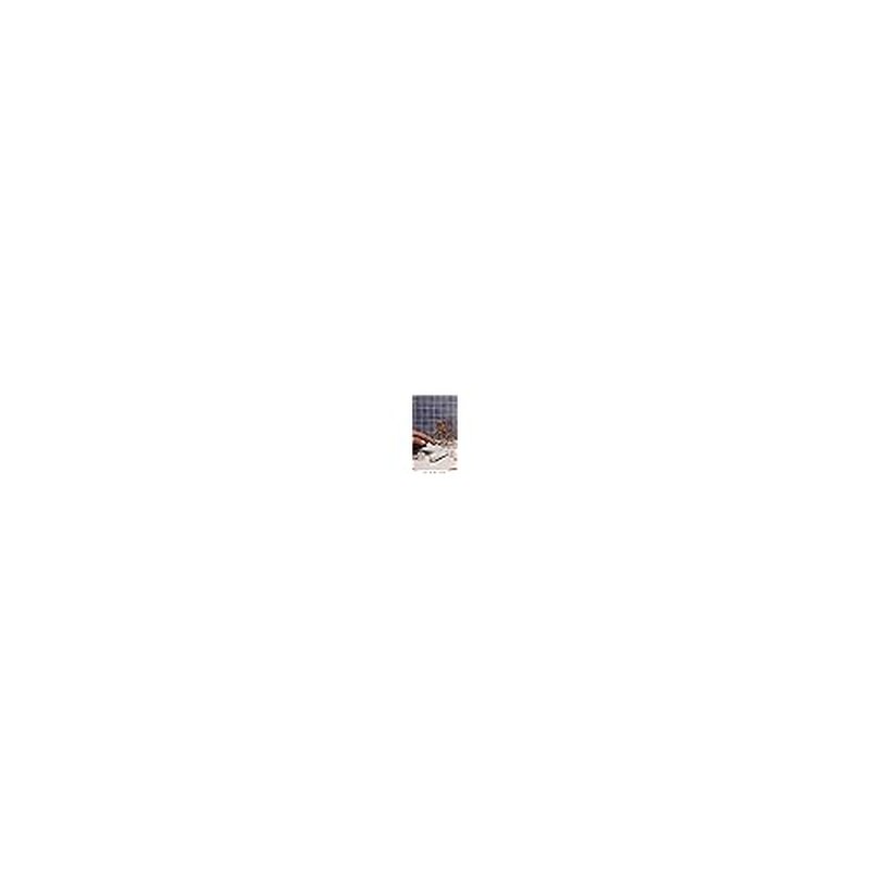 Dr. Hauschka Illuminating Fluid, 00 Translucent, Natural, Organic, Mineral, Blur Cream, Highlight, Brighten, 1.0 fl oz