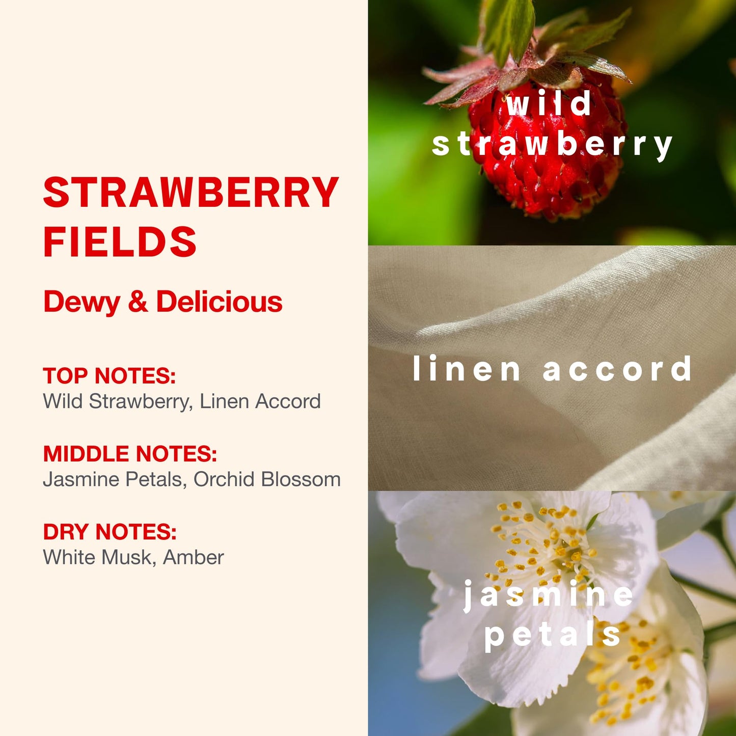 Clean Beauty Perfume Duo, Full & Travel Size, Strawberry Fields Scent, Juicy Berry Notes, Layering, Giftable Fragrance Set