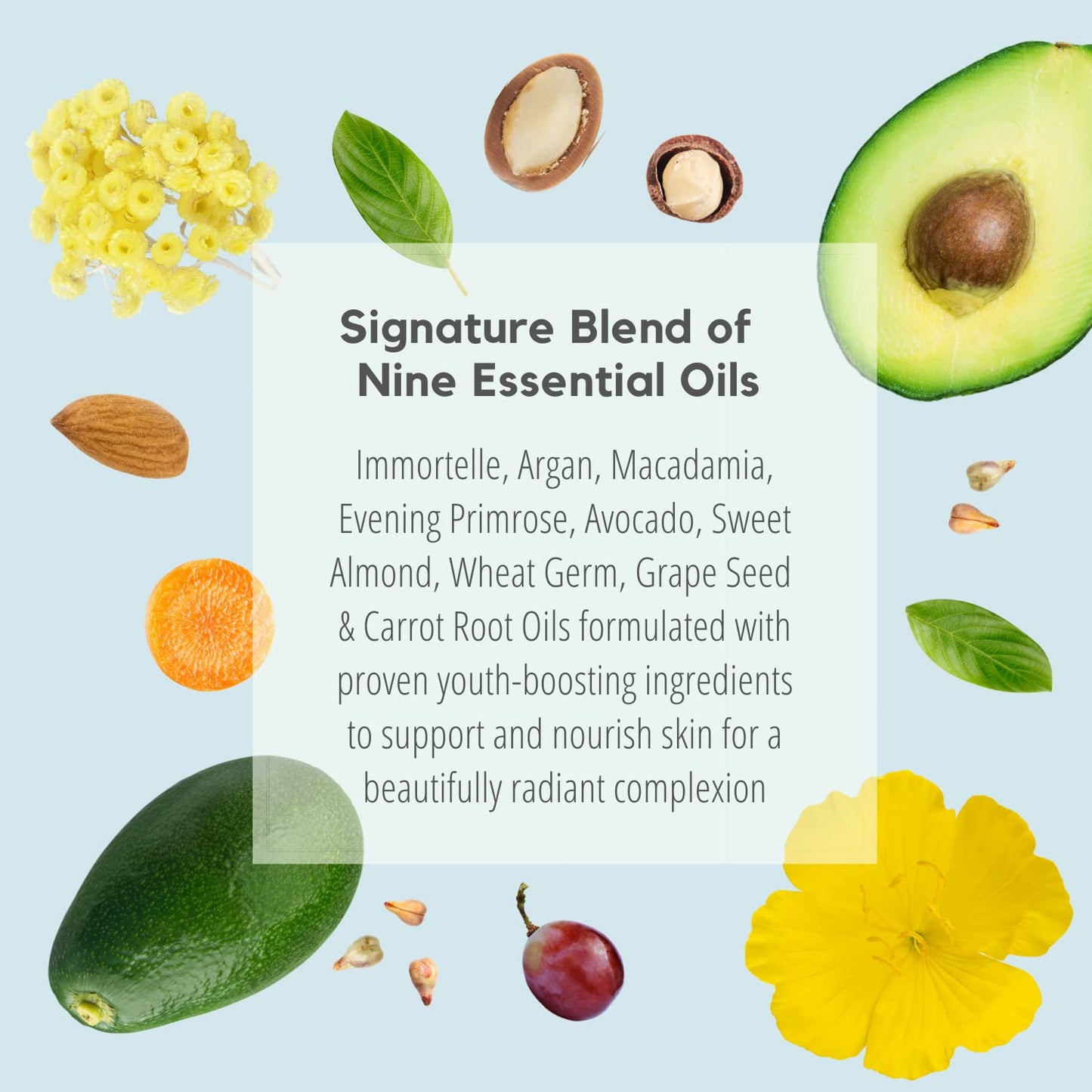 Enriching Face Oil with Immortelle, Best Pure Anti-Aging blend of 9 Essential Oils with Argan, Macadamia, Evening Primrose & Natural Retinol for Healthy, Luminous Skin. Dubrovnik Gold (.5 oz/15 ml)
