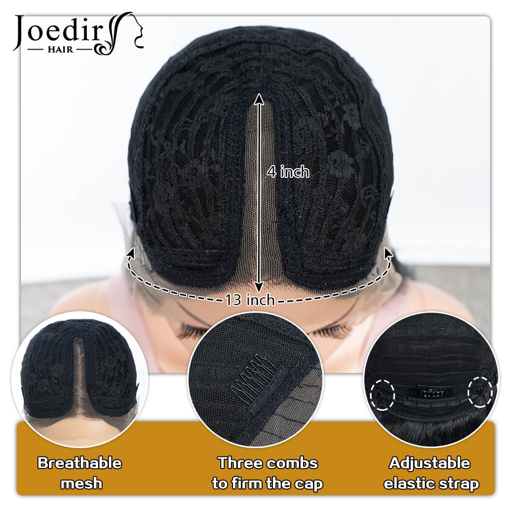 Joedir HAIR Layered Synthetic Lace Front Wig for Women with Curtain Bangs 24 inch Highlight Ash Brown Skunk Stripe Wig for Daily Party Cosplay (Color:NTSA4/10/23B/613C)