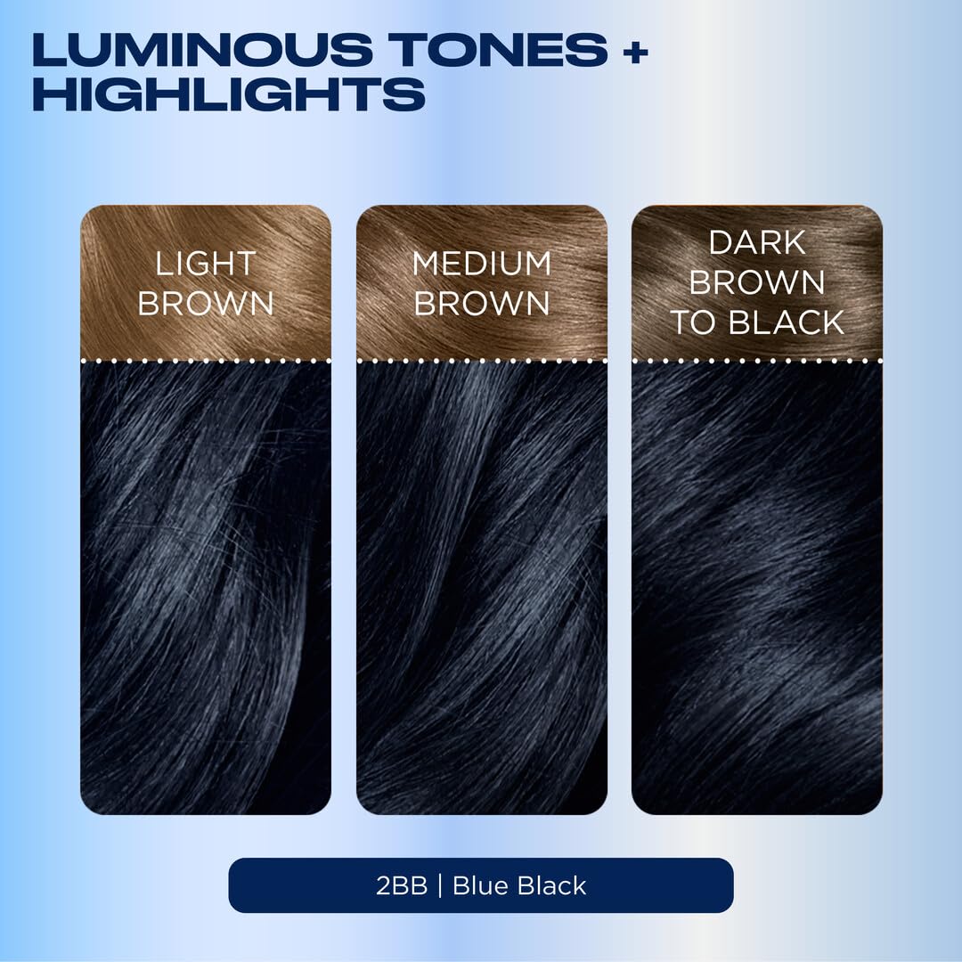 Clairol Nice'n Easy Permanent Hair Dye, 2BB Blue Black | 100% Gray Coverage | Long‑Lasting, Natural‑Looking Color & Shine | Pack of 3
