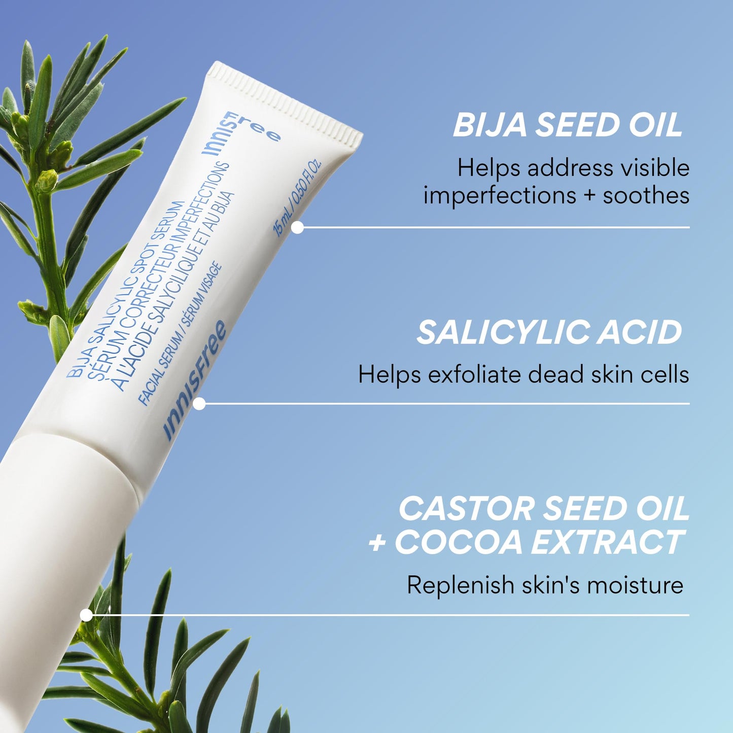 innisfree Bija Spot Serum with Salicylic Acid & Castor Oil | Korean Treatment for Acne, Pore Care and Smooth Skin