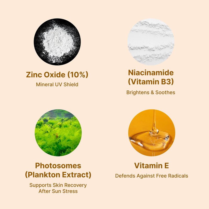 Lerinn Zinc Oxide Mineral Sunscreen SPF 50 PA++++ | No White Cast Face SPF | Lightweight Daily Sunscreen for Sensitive Skin | Broad Spectrum UVA/UVB | Fragrance Free | Reef-Safe (40ml)