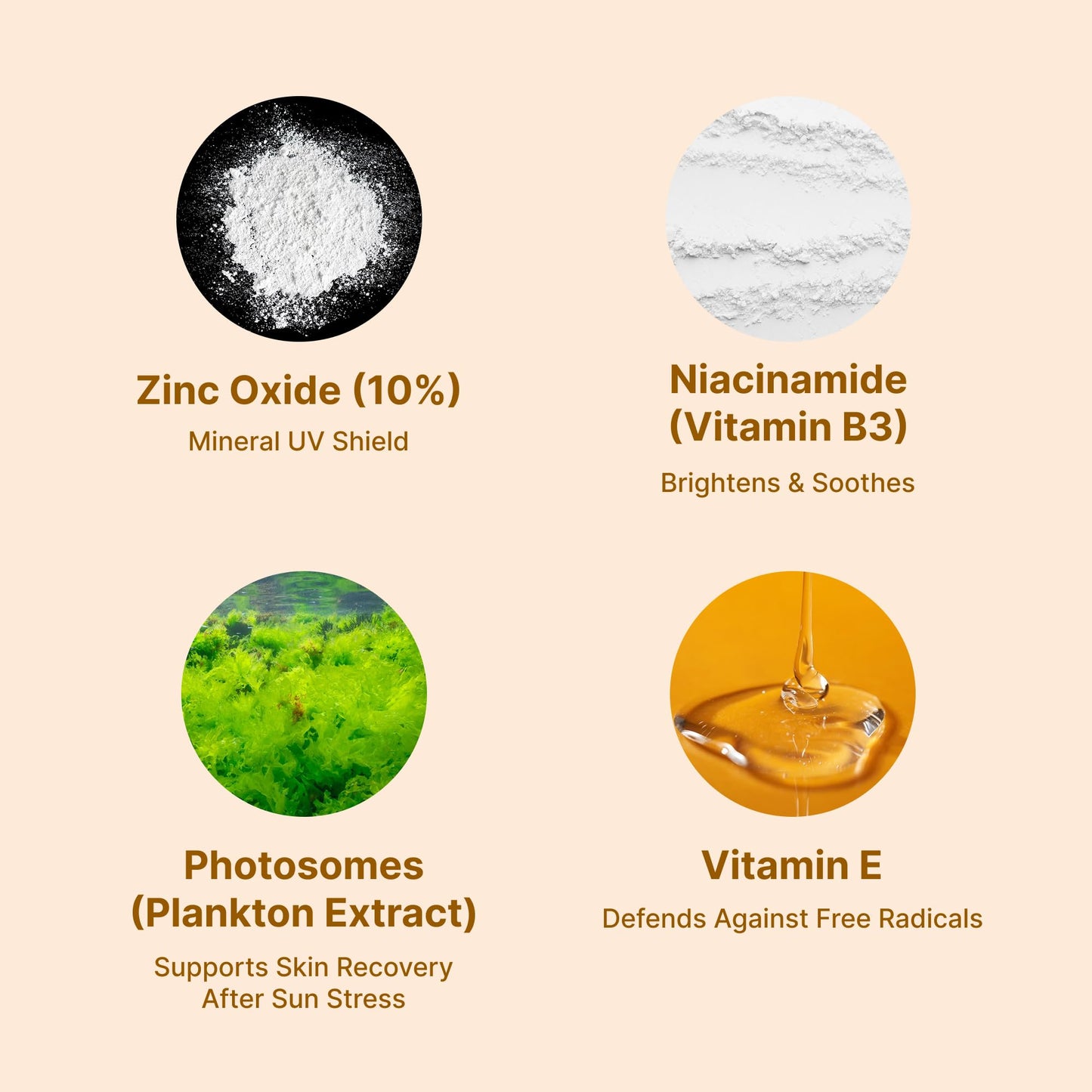 Lerinn Zinc Oxide Mineral Sunscreen SPF 50 PA++++ | No White Cast Face SPF | Lightweight Daily Sunscreen for Sensitive Skin | Broad Spectrum UVA/UVB | Fragrance Free | Reef-Safe (40ml)